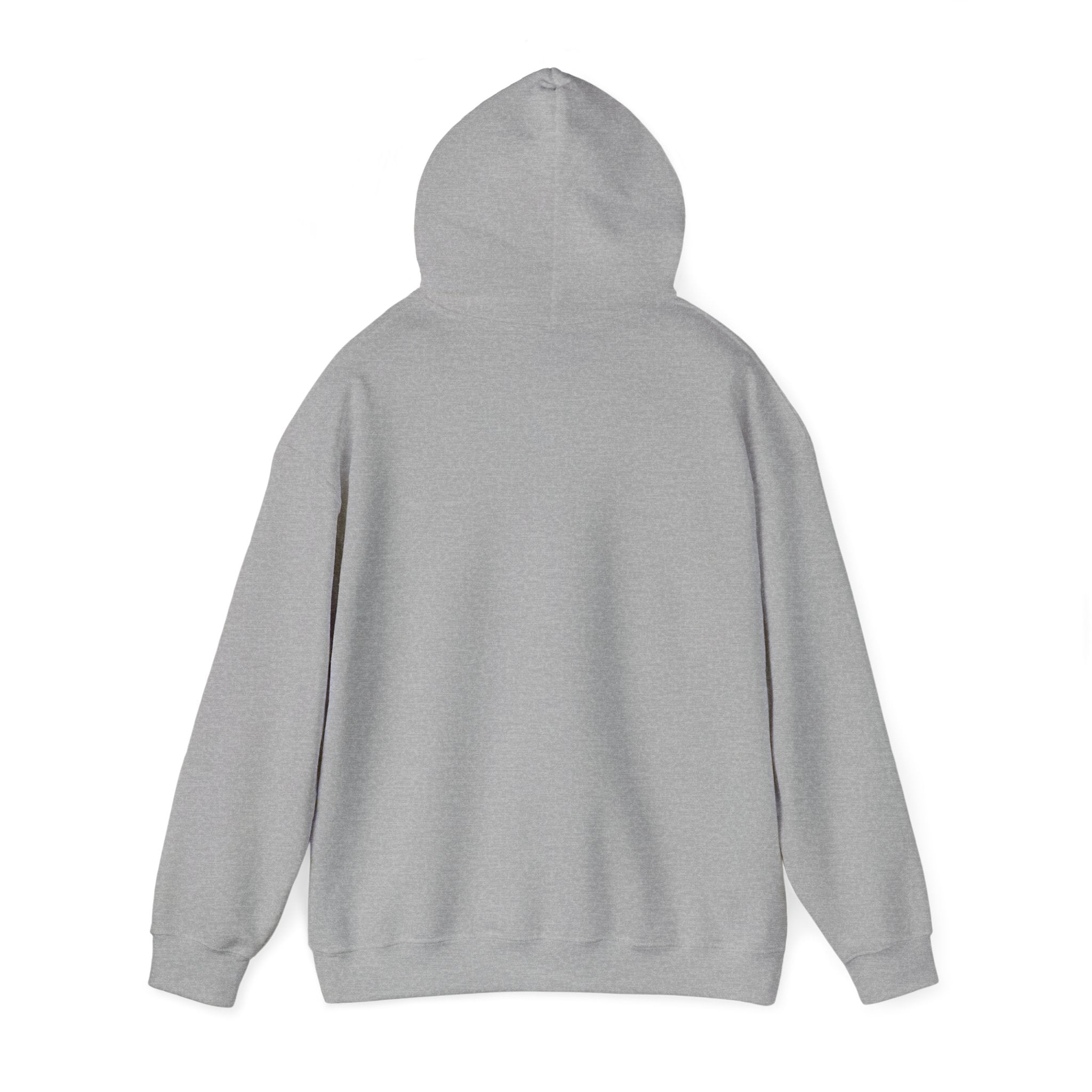 I support the current thing HEAVY BLEND HOODIE